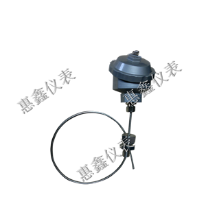 防爆熱電阻 防爆熱電阻