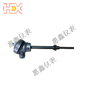 防爆熱電阻 防爆熱電阻